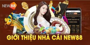 Sự ra đời cùng hành trình phát triển